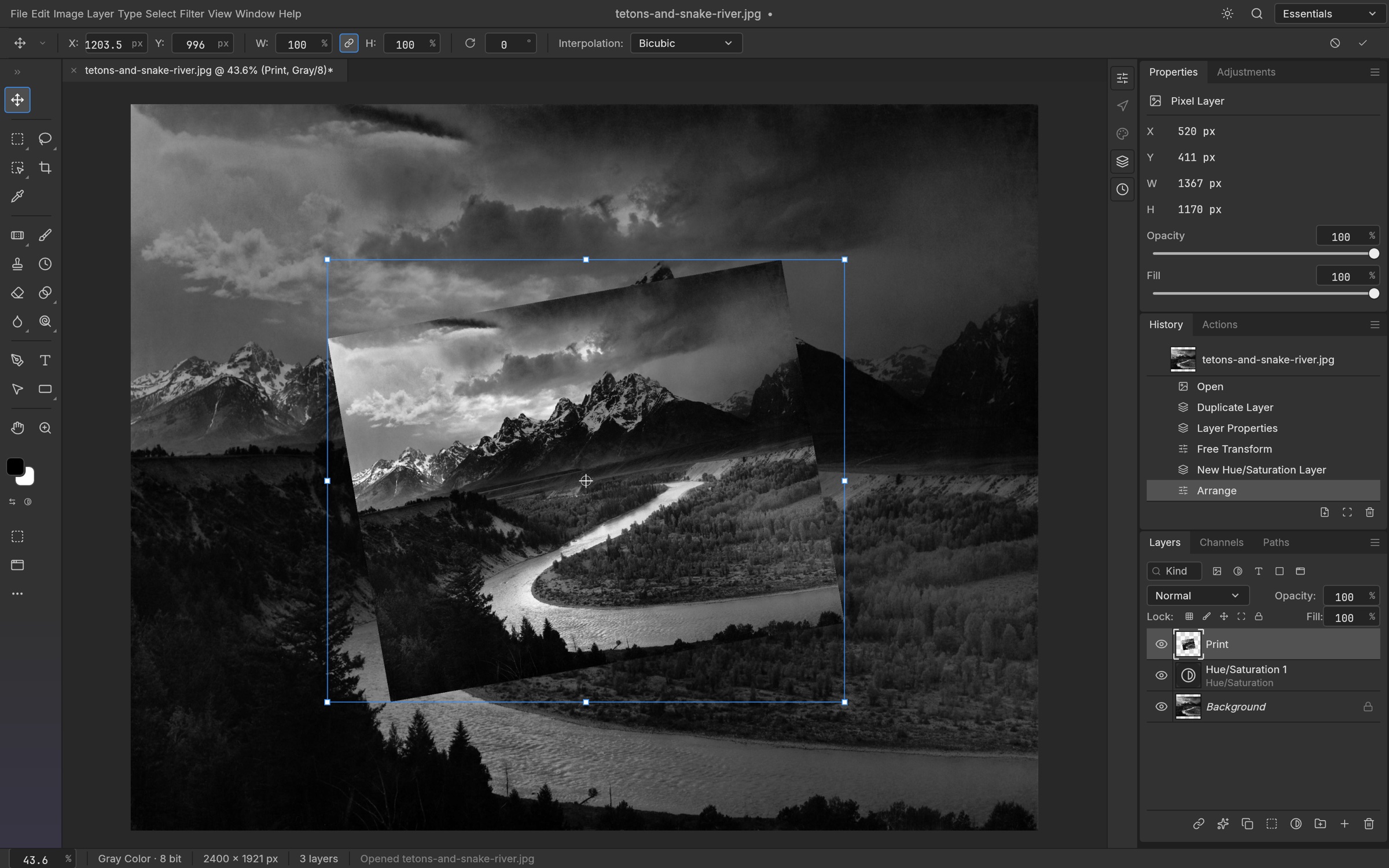 Free Transform handles around a rotated copy of Ansel Adams' The Tetons and the Snake River, with the History panel listing Open, Duplicate Layer, Free Transform and other steps